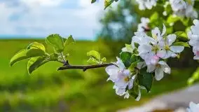 Wiosna na całego na i piękne okoliczności przyrody - zdjęcie 17