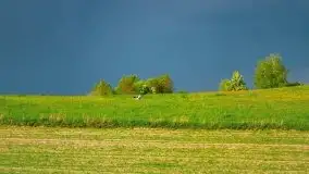 Wiosna na całego na i piękne okoliczności przyrody - zdjęcie 26