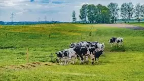 Wiosna na całego na i piękne okoliczności przyrody - zdjęcie 12