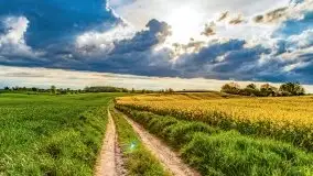 Wiosna na całego na i piękne okoliczności przyrody - zdjęcie 18