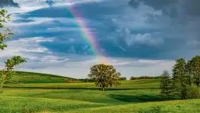 Wiosna na całego na i piękne okoliczności przyrody - zdjęcie 53