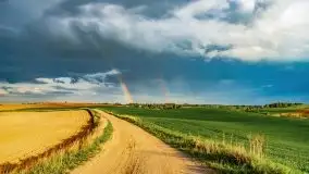 Wiosna na całego na i piękne okoliczności przyrody - zdjęcie 31