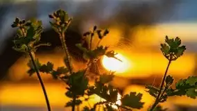 Zachód słońca nad jeziorem Jeziorowskie - zdjęcie 6