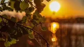 Zachód nad jeziorem Ryńskim, zatoka Mrówcza - zdjęcie 24