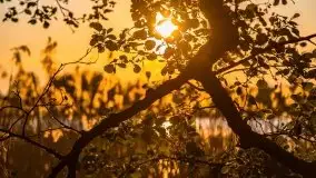 Zachód nad jeziorem Ryńskim, zatoka Mrówcza - zdjęcie 18