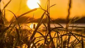 Zachód nad jeziorem Ryńskim, zatoka Mrówcza - zdjęcie 12