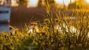 Zachód nad jeziorem Ryńskim, zatoka Mrówcza - zdjęcie 17