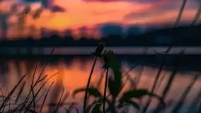 Zachód słońca nad jeziorem Tajty - zdjęcie 15