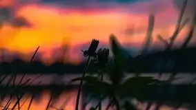 Zachód słońca nad jeziorem Tajty - zdjęcie 19