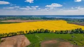 Mazurskie złote, piękne, rzepakowe pola - zdjęcie 37