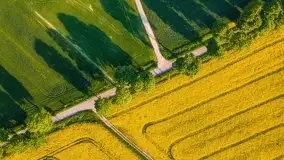 Mazurskie złote, piękne, rzepakowe pola - zdjęcie 24