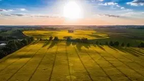 Mazurskie złote, piękne, rzepakowe pola - zdjęcie 46