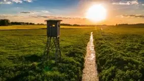 Mazurskie złote, piękne, rzepakowe pola - zdjęcie 26