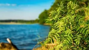 Zachód słońca nad jeziorem Dargin, Poganty - zdjęcie 11