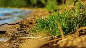 Zachód słońca nad jeziorem Dargin, Poganty - zdjęcie 33