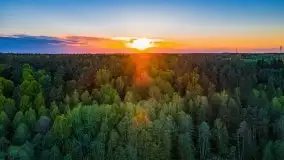 Podsumowanie wiosny 2021, zdjęcia z wielu miejsc - zdjęcie 30