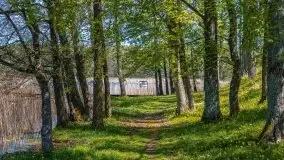 Podsumowanie wiosny 2021, zdjęcia z wielu miejsc - zdjęcie 61