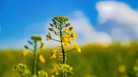 Podsumowanie wiosny 2021, zdjęcia z wielu miejsc - zdjęcie 45