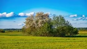 Podsumowanie wiosny 2021, zdjęcia z wielu miejsc - zdjęcie 9