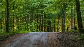 Podsumowanie wiosny 2021, zdjęcia z wielu miejsc - zdjęcie 79