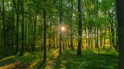 Podsumowanie wiosny 2021, zdjęcia z wielu miejsc