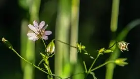 Podsumowanie wiosny 2021, zdjęcia z wielu miejsc - zdjęcie 17