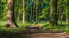 Podsumowanie wiosny 2021, zdjęcia z wielu miejsc - zdjęcie 107