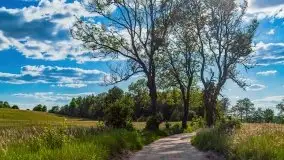 Podsumowanie wiosny 2021, zdjęcia z wielu miejsc - zdjęcie 121