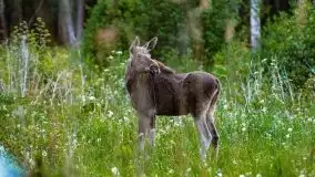 Podsumowanie wiosny 2021, zdjęcia z wielu miejsc - zdjęcie 125