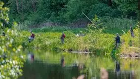 Majowe zawody wędkarskie nad kanałem mazurskim - zdjęcie 82