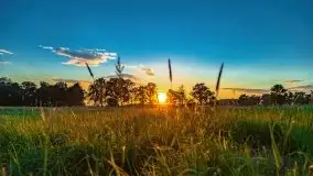 Zachody słońca nad Sztynortem, czerwiec 2021 - zdjęcie 5