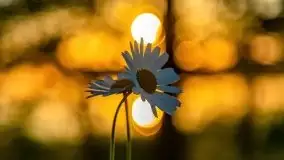 Jezioro Kirsajty o zachodzie słońca - zdjęcie 22