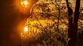 Jezioro Kirsajty o zachodzie słońca - zdjęcie 11