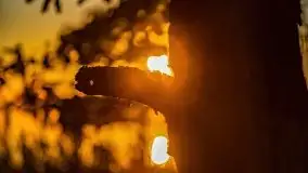 Jezioro Kirsajty o zachodzie słońca - zdjęcie 24