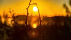 Jezioro Kirsajty o zachodzie słońca - zdjęcie 18