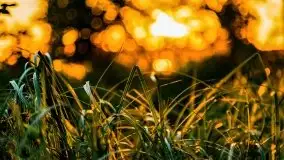 Jezioro Kirsajty o zachodzie słońca - zdjęcie 15