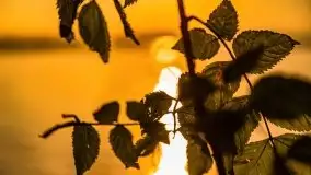 Zachód słońca nad jeziorem Mamry, czerwiec 2021 - zdjęcie 30