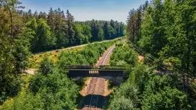 Czerwcowe Mazury, kompilacja niewykorzystanych zdjęć, 2021 - zdjęcie 48