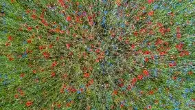 Czerwcowe Mazury, kompilacja niewykorzystanych zdjęć, 2021 - zdjęcie 23