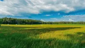 Czerwcowe Mazury, kompilacja niewykorzystanych zdjęć, 2021 - zdjęcie 89