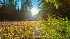 Czerwcowe Mazury, kompilacja niewykorzystanych zdjęć, 2021 - zdjęcie 57