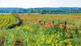 Czerwcowe Mazury, kompilacja niewykorzystanych zdjęć, 2021 - zdjęcie 81