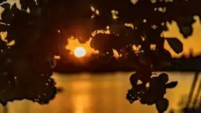 Zachód słońca nad jeziorem Bocznym, czerwiec 2021 r. - zdjęcie 21