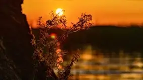 Zachód słońca nad jeziorem Dejguny, lipiec 2021 r. - zdjęcie 6