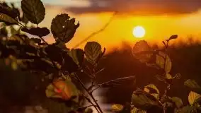 Zachód słońca nad jeziorem Dejguny, lipiec 2021 r. - zdjęcie 31