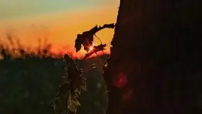 Zachód słońca nad jeziorem Dejguny, lipiec 2021 r. - zdjęcie 26