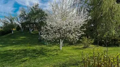 Dom całoroczny u Zofii w Rynie - zdjęcie 9