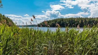 Ośrodek Wypoczynkowy Nova Mazury - zdjęcie 47