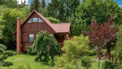 Nowa galeria - zdjęcie 72