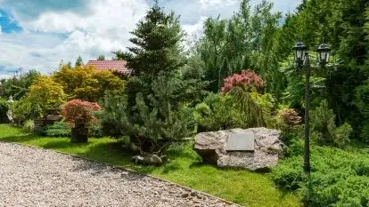 Nowa galeria - zdjęcie 92